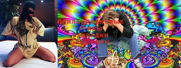 МДПВ Абаза