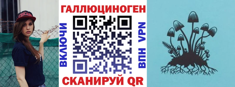 где продают   Искитим  Псилоцибиновые грибы мухоморы 
